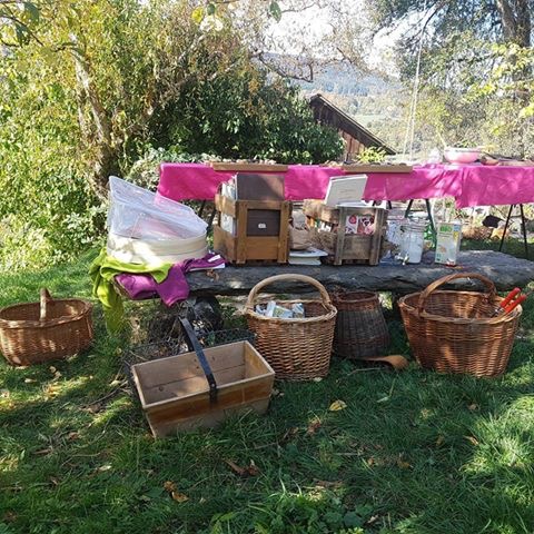 Journée cuisine des plantes sauvages